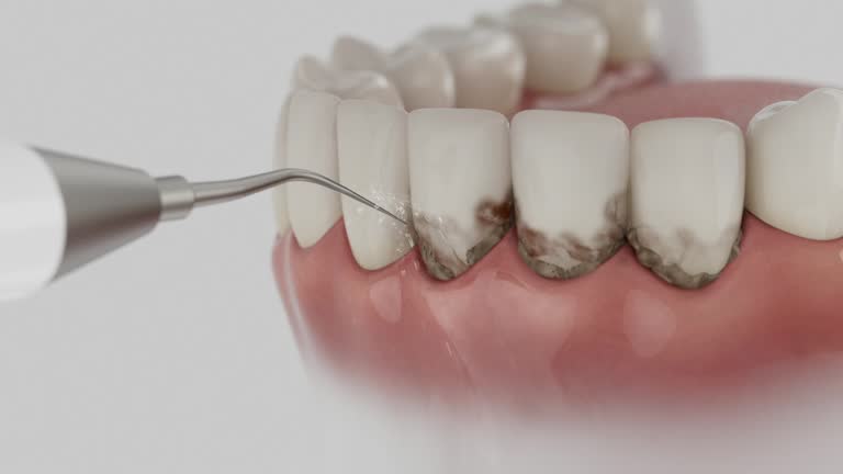 Trusted Emergency Dentist service in Bath, MI - Dentist Open Now